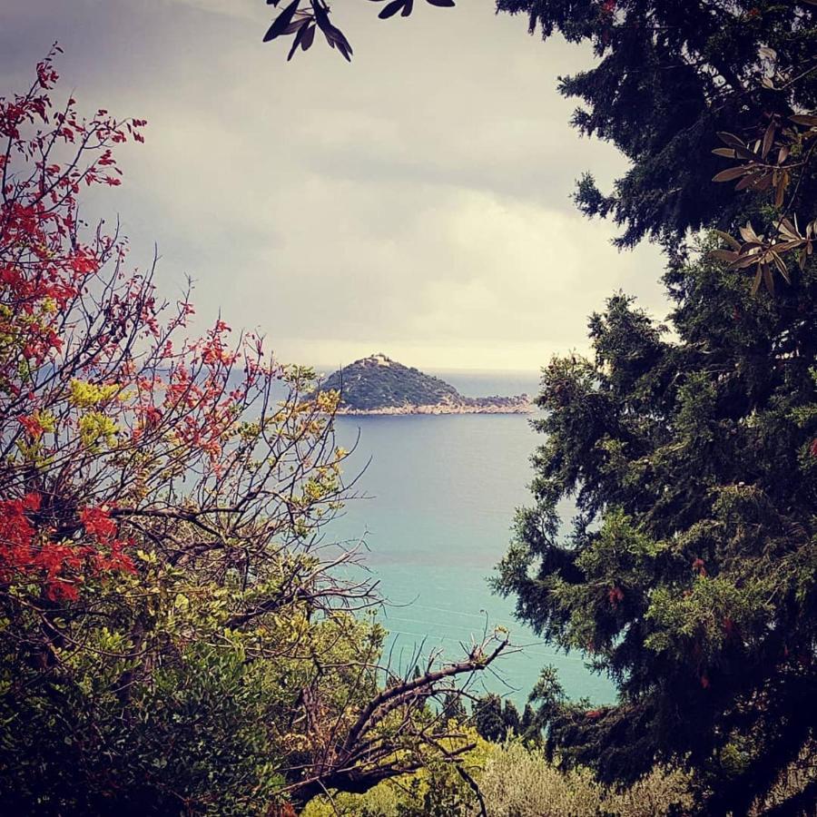 Salvia E Rosmarino - Affittacamere In Liguria Villanova d'Albenga Bagian luar foto