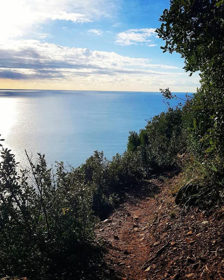 Salvia E Rosmarino - Affittacamere In Liguria Villanova d'Albenga Bagian luar foto