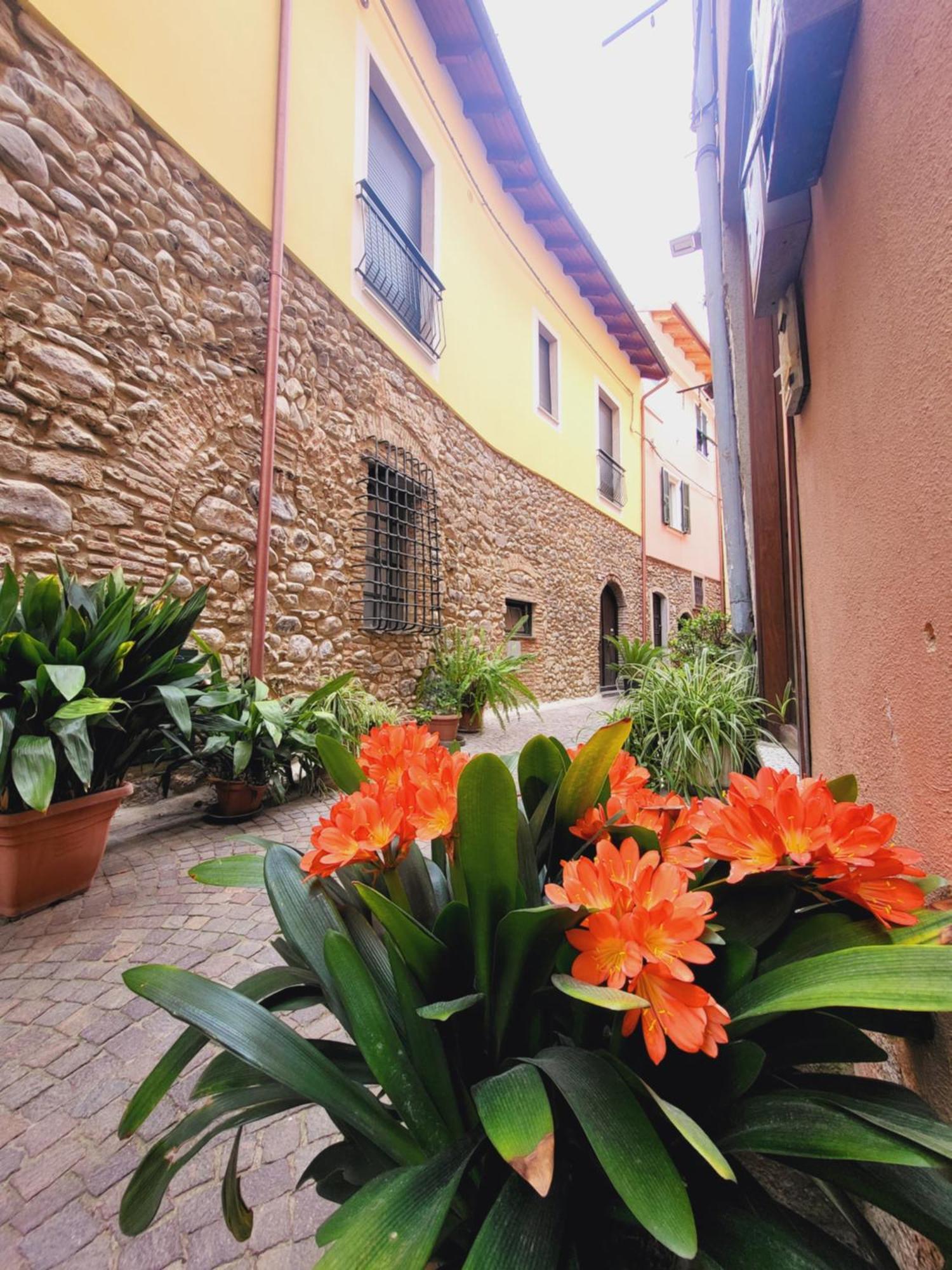 Salvia E Rosmarino - Affittacamere In Liguria Villanova d'Albenga Bagian luar foto