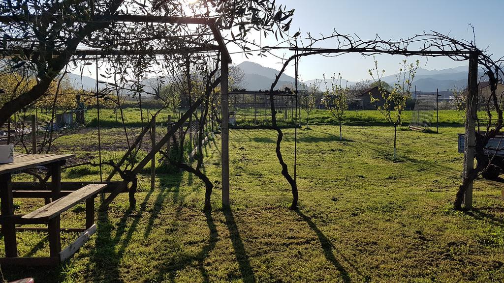 Salvia E Rosmarino - Affittacamere In Liguria Villanova d'Albenga Bagian luar foto
