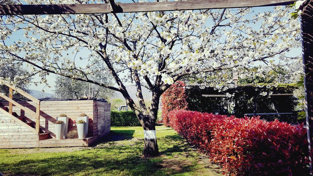 Salvia E Rosmarino - Affittacamere In Liguria Villanova d'Albenga Bagian luar foto